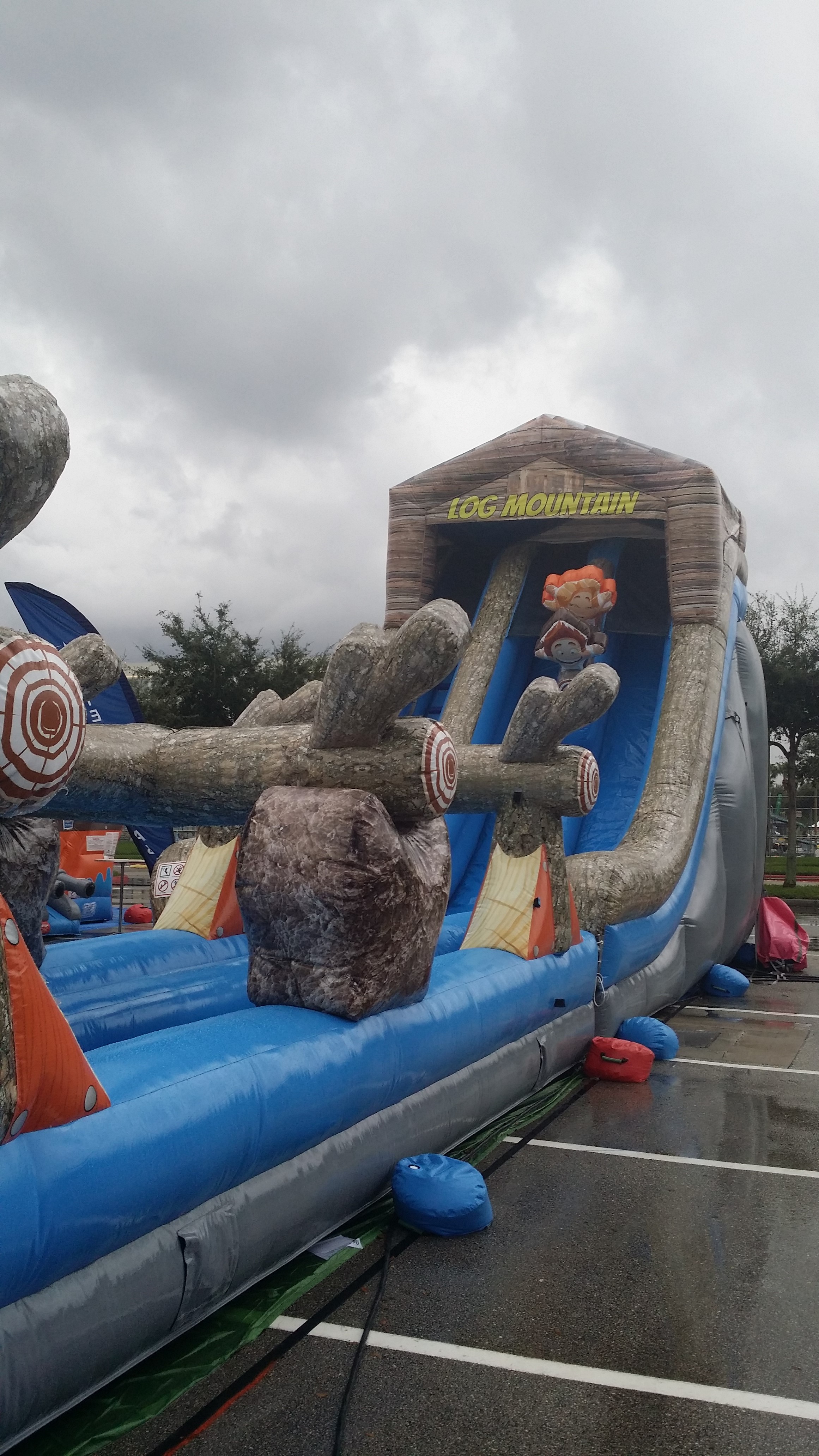 Log Mountain Dual Lane Water Slide Backyard Inflatables